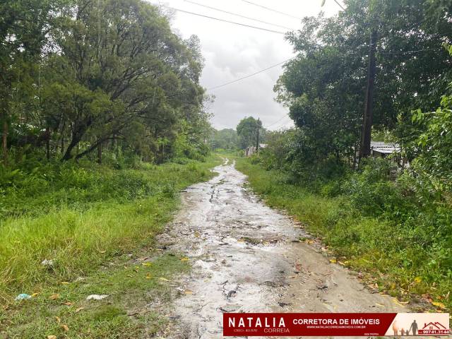 Terreno para Venda em Itanhaém - 5