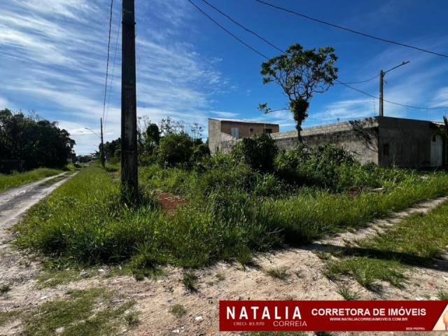 #1912 - Área para Venda em Itanhaém - SP - 1