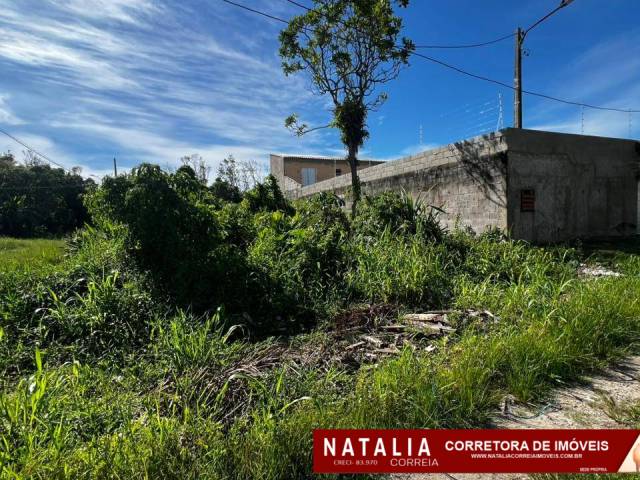 #1912 - Área para Venda em Itanhaém - SP - 2