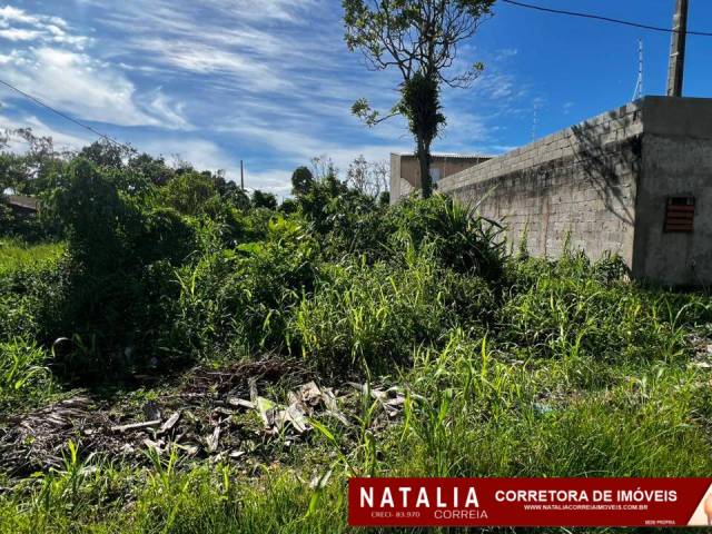 #1912 - Área para Venda em Itanhaém - SP - 3