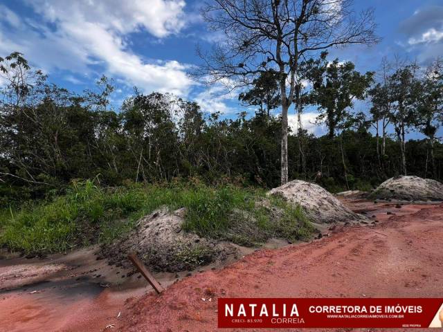 #1953 - Área para Venda em Peruíbe - SP - 1