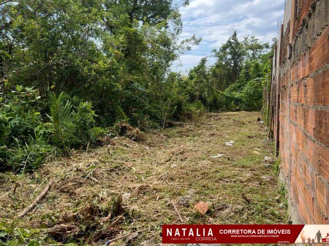 #1954 - Área para Venda em Itanhaém - SP - 1