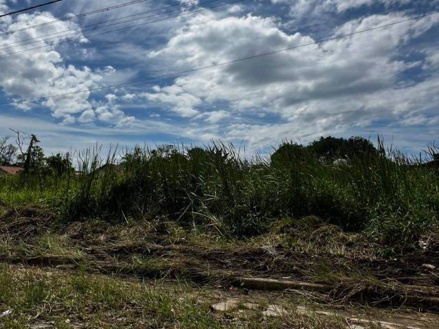 #1955 - Área para Venda em Itanhaém - SP - 2