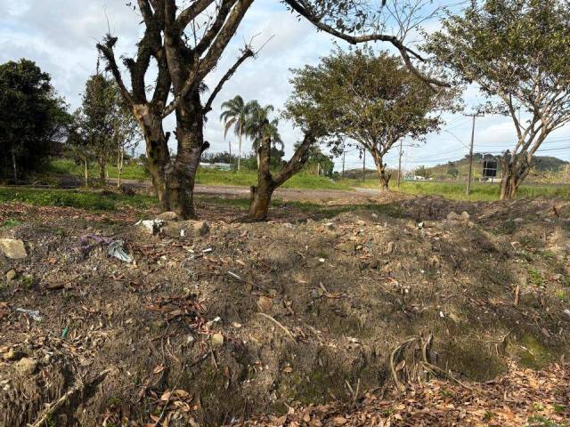 #185 - Terreno para Venda em Peruíbe - SP - 2