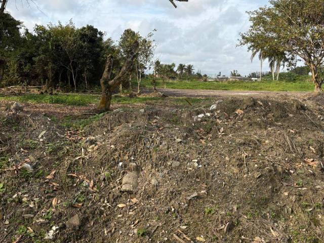 #185 - Terreno para Venda em Peruíbe - SP - 3