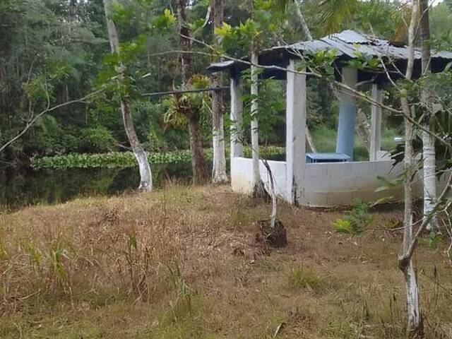 #2212 - Chácara para Venda em Itanhaém - SP - 2