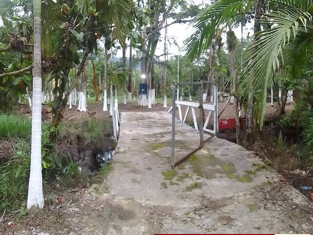 #2212 - Chácara para Venda em Itanhaém - SP - 3