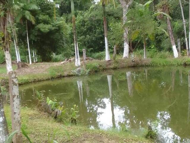 Chácara para Venda em Itanhaém - 5