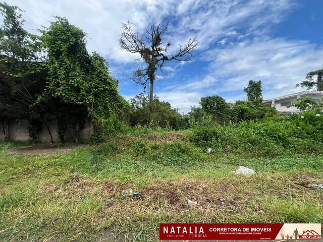#2234 - Terreno para Venda em Itanhaém - SP - 1