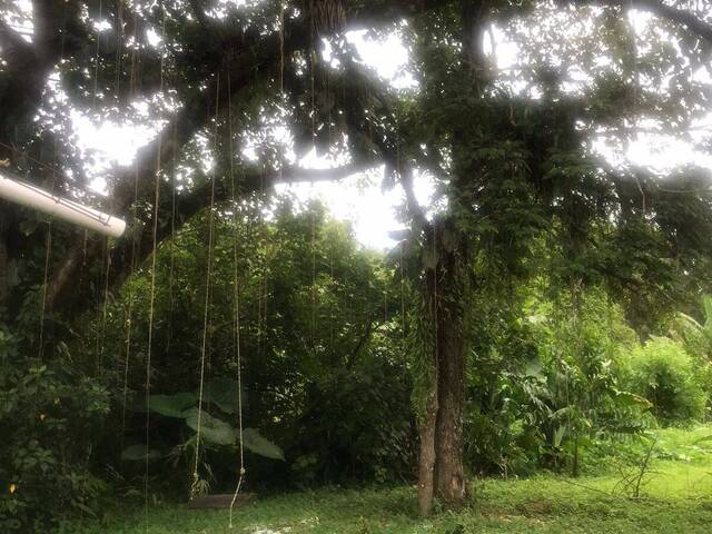 #2254 - Casa para Venda em Mongaguá - SP - 2