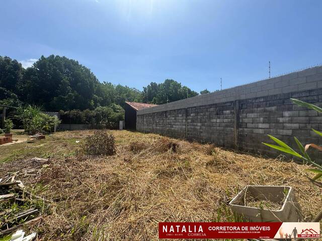 #2302 - Terreno para Venda em Itanhaém - SP - 3