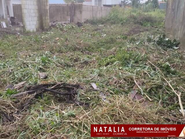 Área para Venda em Peruíbe - 5