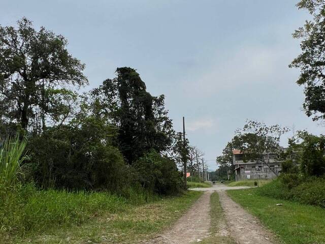 #2400 - Terreno para Venda em Itanhaém - SP - 3