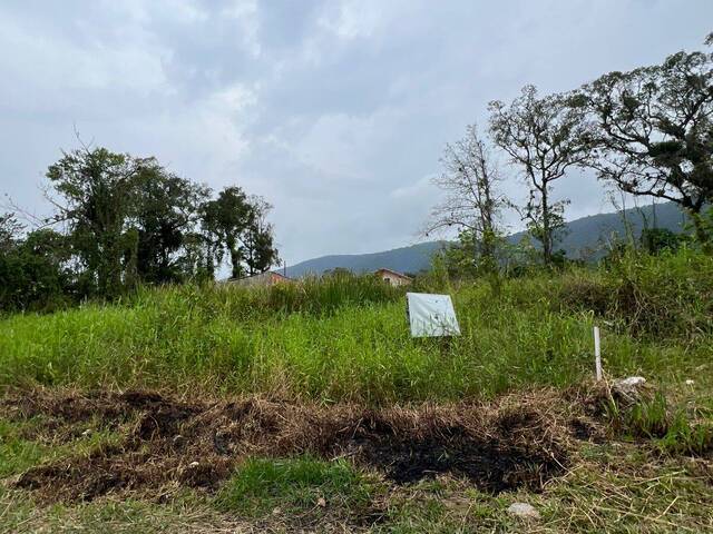 #2400 - Terreno para Venda em Itanhaém - SP - 1