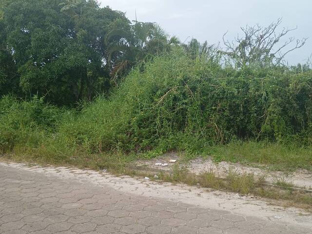 #2242 - Terreno para Venda em Itanhaém - SP - 2