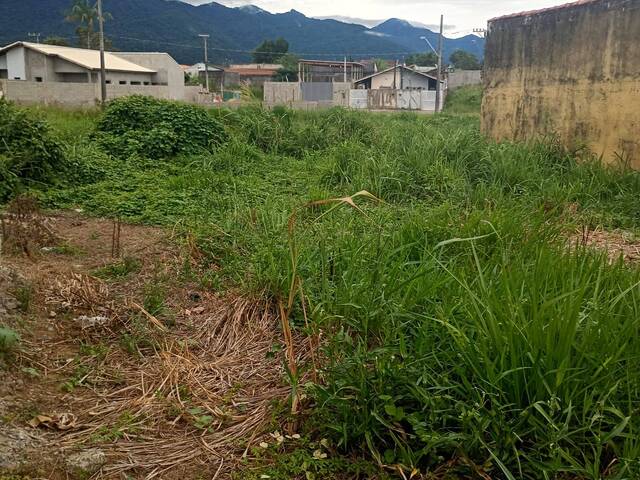 Terreno para Venda em Peruíbe - 4