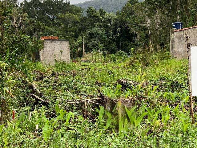 #2446 - Terreno para Venda em Itanhaém - SP - 2