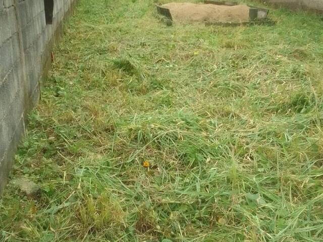Terreno para Venda em Itanhaém - 3