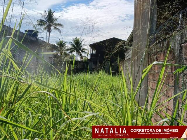 Terreno para Venda em Itanhaém - 5