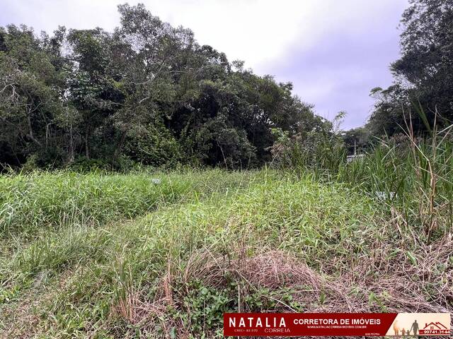 Terreno para Venda em Itanhaém - 2