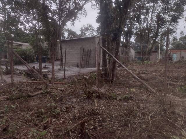 Terreno para Venda em Itanhaém - 3