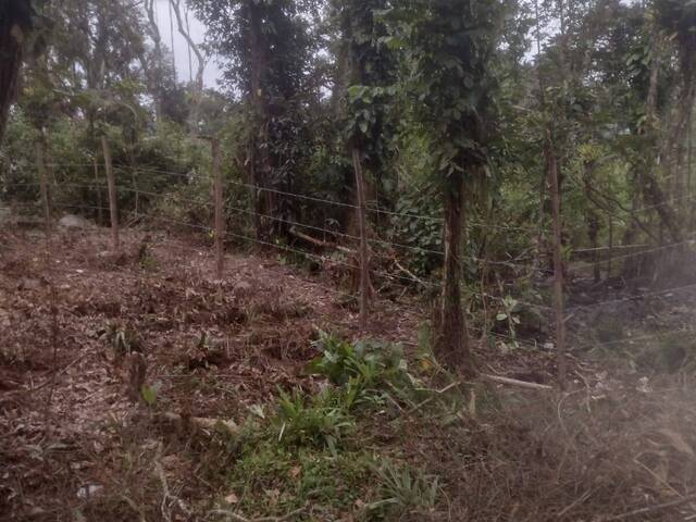 Terreno para Venda em Itanhaém - 4