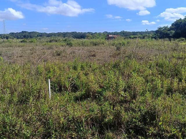 #2498 - Terreno para Venda em Itanhaém - SP - 1