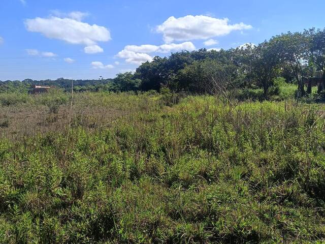 #2498 - Terreno para Venda em Itanhaém - SP - 2
