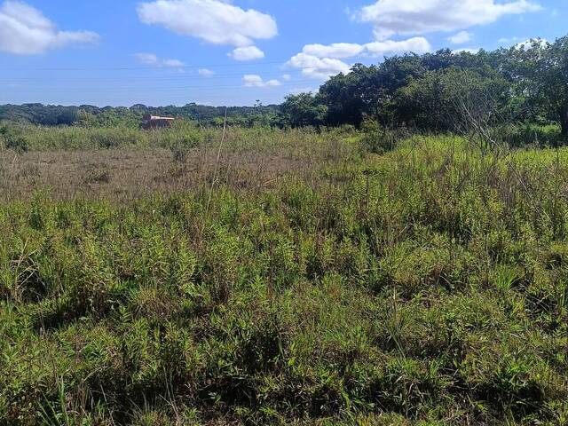 Terreno para Venda em Itanhaém - 5