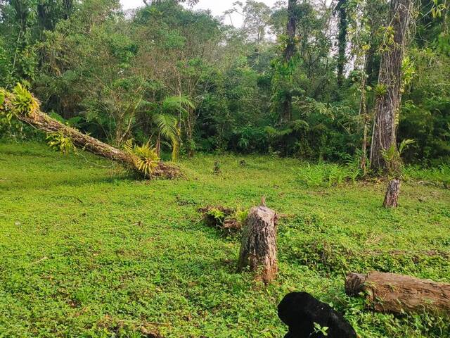 #2553 - Chácara para Venda em Mongaguá - SP - 2