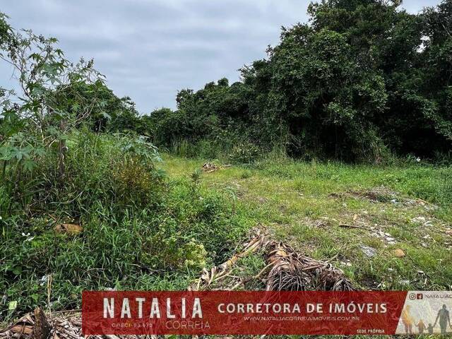 #2092 - Terreno para Venda em Itanhaém - SP - 1