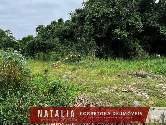 #2092 - Terreno para Venda em Itanhaém - SP - 2