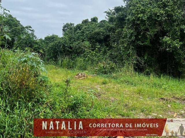 #2092 - Terreno para Venda em Itanhaém - SP - 3