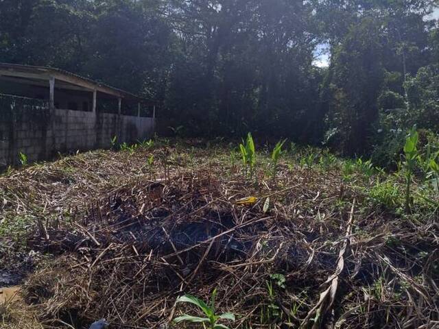 #2094 - Terreno para Venda em Itanhaém - SP - 2