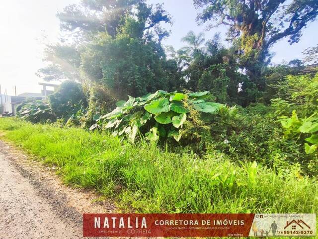 #1511 - Terreno para Venda em Itanhaém - SP - 1