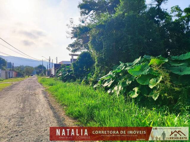 #1511 - Terreno para Venda em Itanhaém - SP - 2