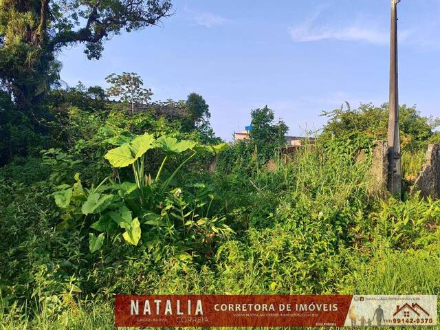 #1511 - Terreno para Venda em Itanhaém - SP - 3