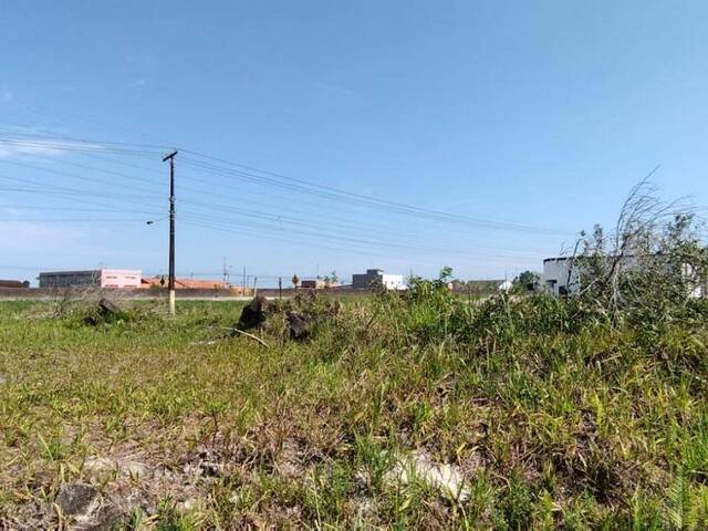 Terreno para Venda em Itanhaém - 2
