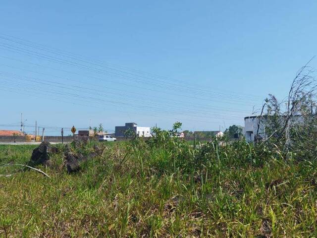 Terreno para Venda em Itanhaém - 3