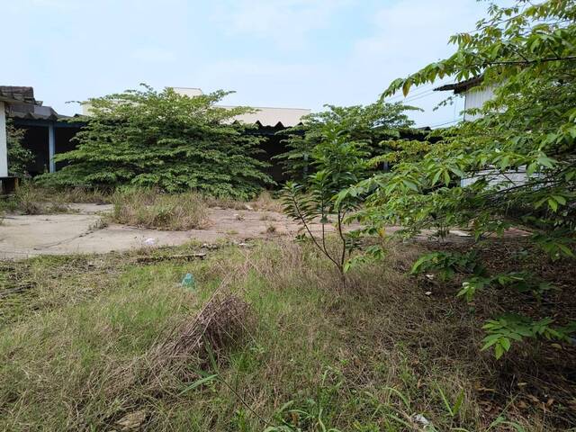 #1597 - Terreno para Venda em Itanhaém - SP - 2