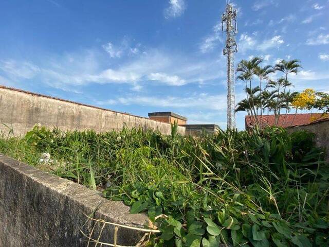 #1620 - Terreno para Venda em Itanhaém - SP - 3
