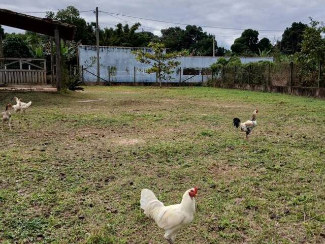 #1645 - Terreno para Venda em Itariri - SP - 3