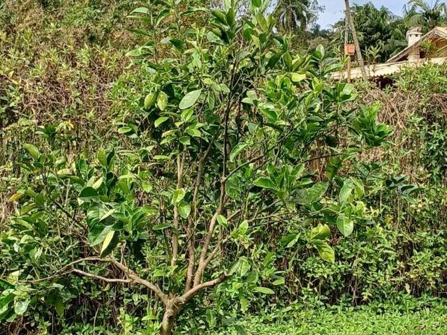 Terreno para Venda em Itariri - 5