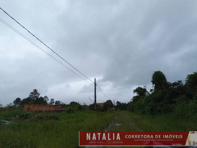#175 - Terreno para Venda em Peruíbe - SP - 3
