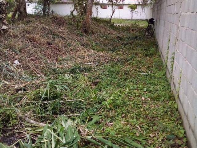 #185 - Terreno para Venda em Peruíbe - SP - 2