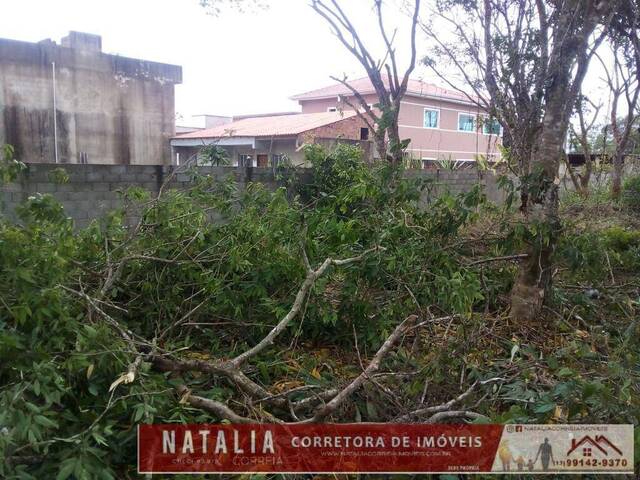 #185 - Terreno para Venda em Peruíbe - SP - 3