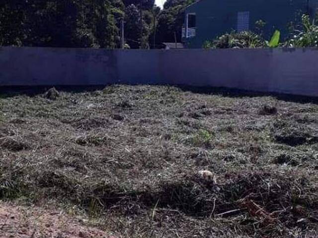 Terreno para Venda em Itanhaém - 2