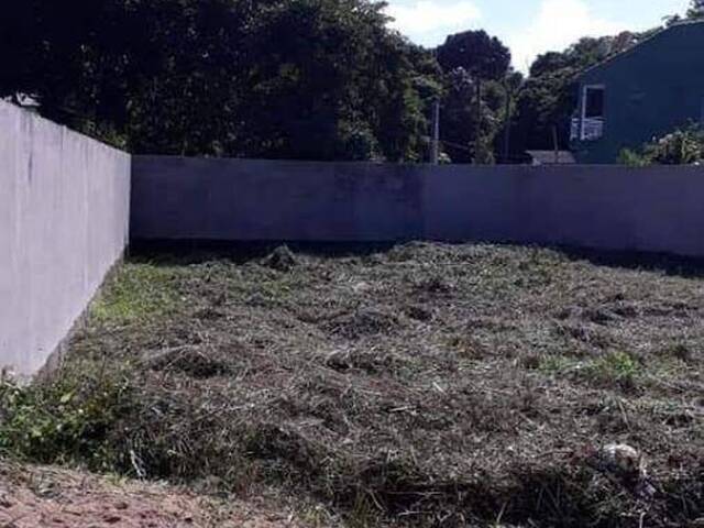 Terreno para Venda em Itanhaém - 3