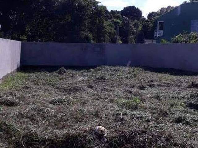 Terreno para Venda em Itanhaém - 4