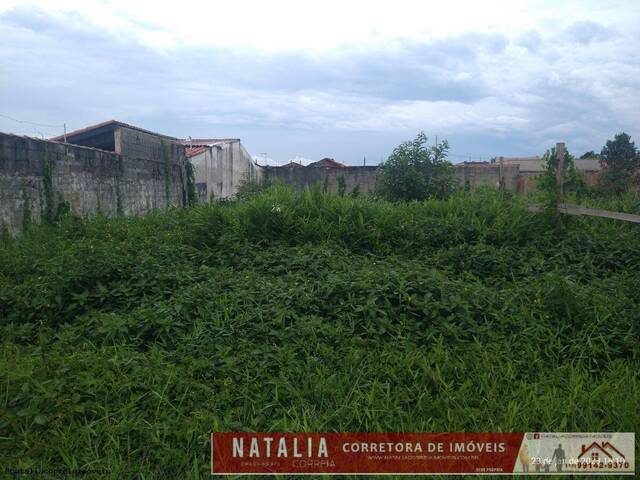 Terreno para Venda em Itanhaém - 2